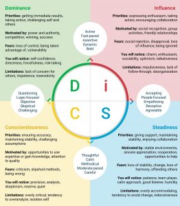 DiSC Method - synergy booster!